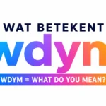 Wat Betekent WDYM?