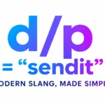 D/P Meaning on Sendit